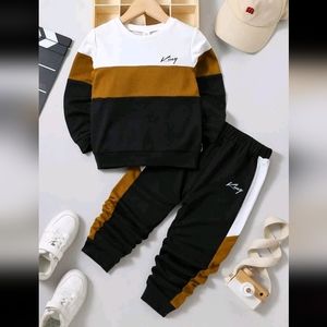 Toddler Boys Letter Graphic Colorblock Sweatshirt & Sweatpants